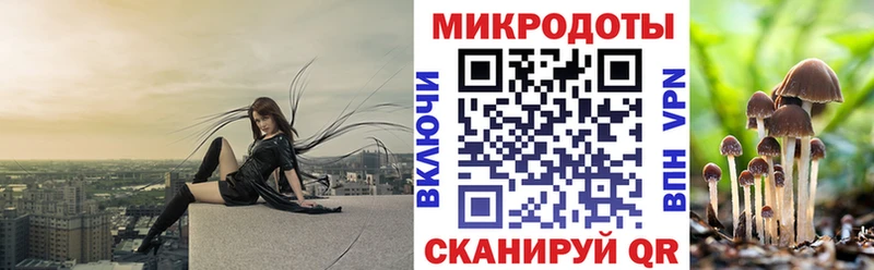 Галлюциногенные грибы Psilocybe  Северодвинск 
